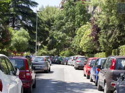 E terminiamo il nostro viaggio in Via Mauro Amoruso Manzari, una delle prime arterie sorte nel quartiere. In questo punto Bari diventa una �foresta�...